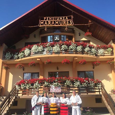 Ocna Şugatag Pensiunea Maramures מראה חיצוני תמונה
