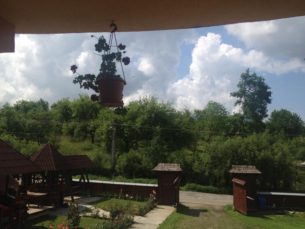 Ocna Şugatag Pensiunea Maramures מראה חיצוני תמונה