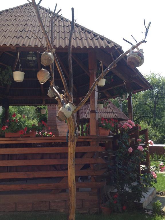 Ocna Şugatag Pensiunea Maramures מראה חיצוני תמונה