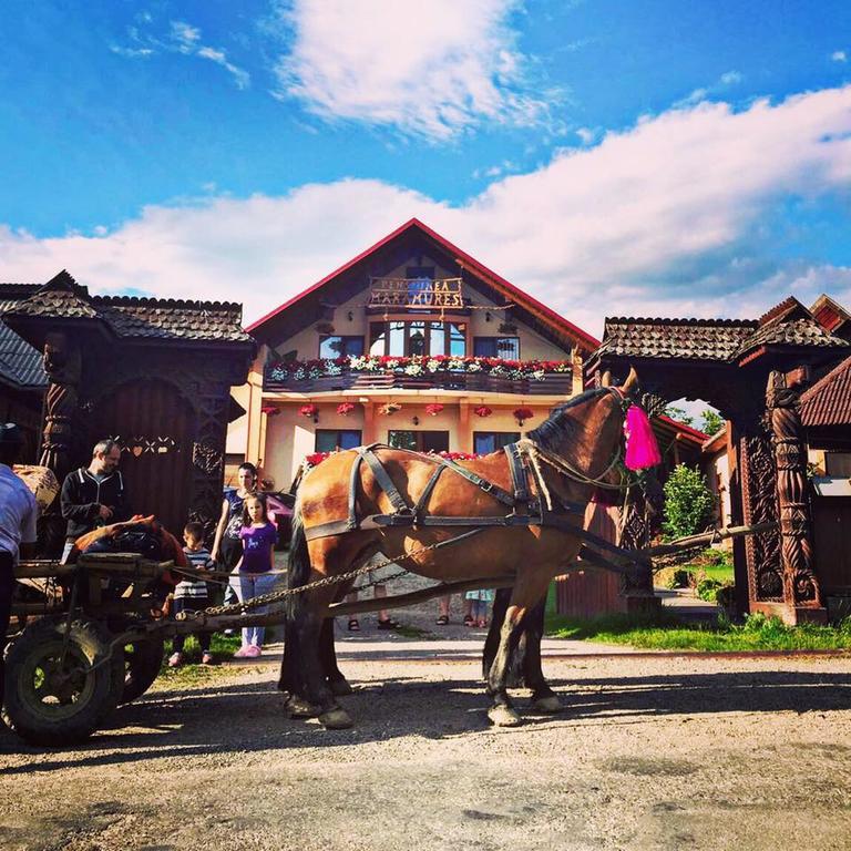 Ocna Şugatag Pensiunea Maramures מראה חיצוני תמונה
