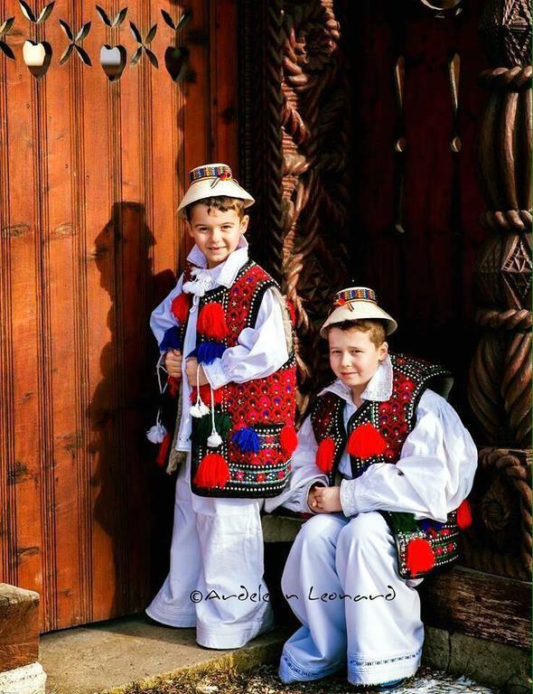 Ocna Şugatag Pensiunea Maramures מראה חיצוני תמונה
